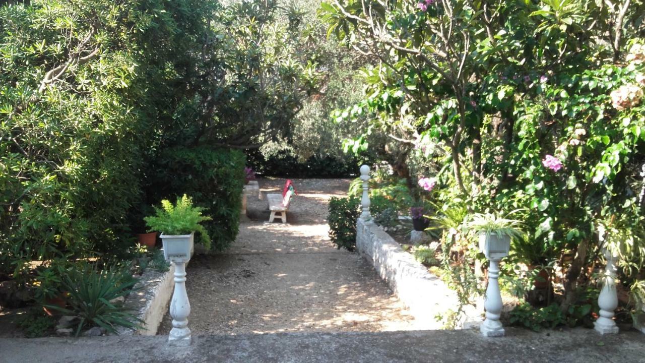 Daniela Appartement Makarska Buitenkant foto