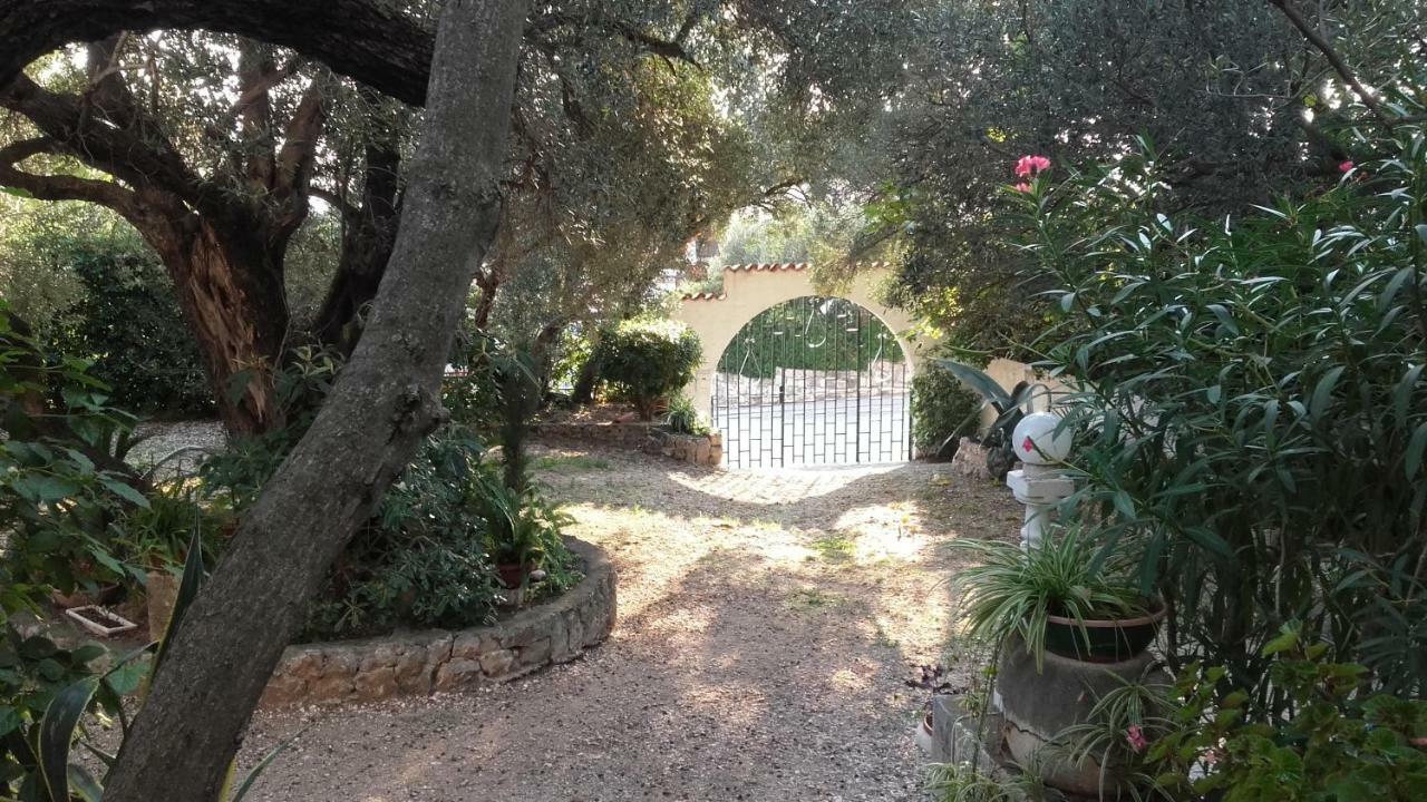 Daniela Appartement Makarska Buitenkant foto