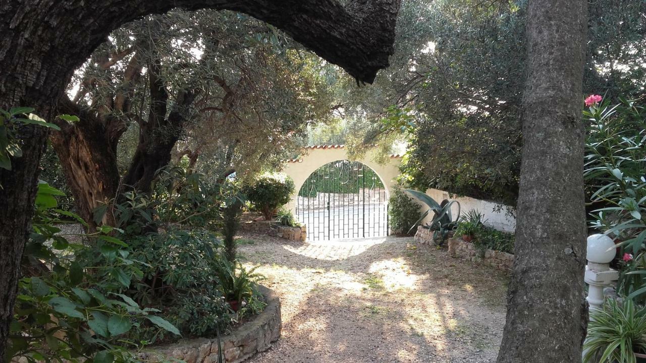 Daniela Appartement Makarska Kamer foto